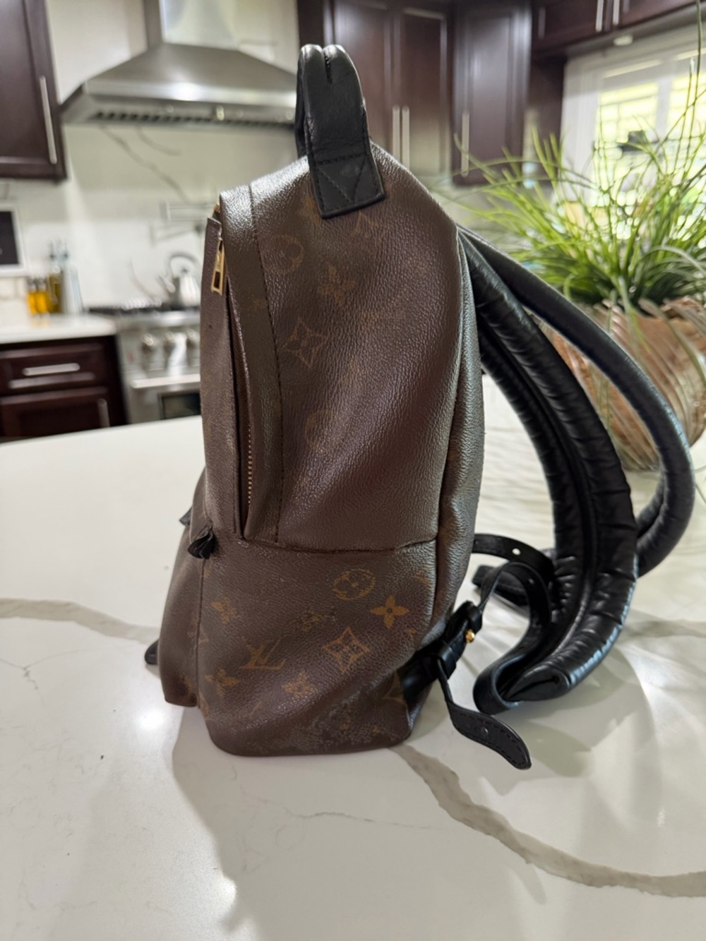 Louis Vuitton Monogram Mini Backpack in Brown with Gold Hardware - Picture 4 of 6